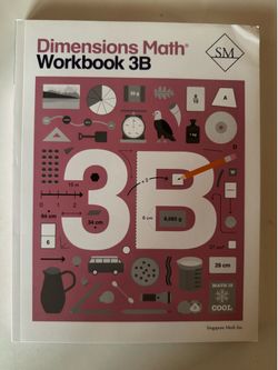 Singapore dimensions math workbook 3B