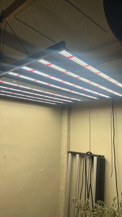 800 watts Full Spectrum LED grow light
