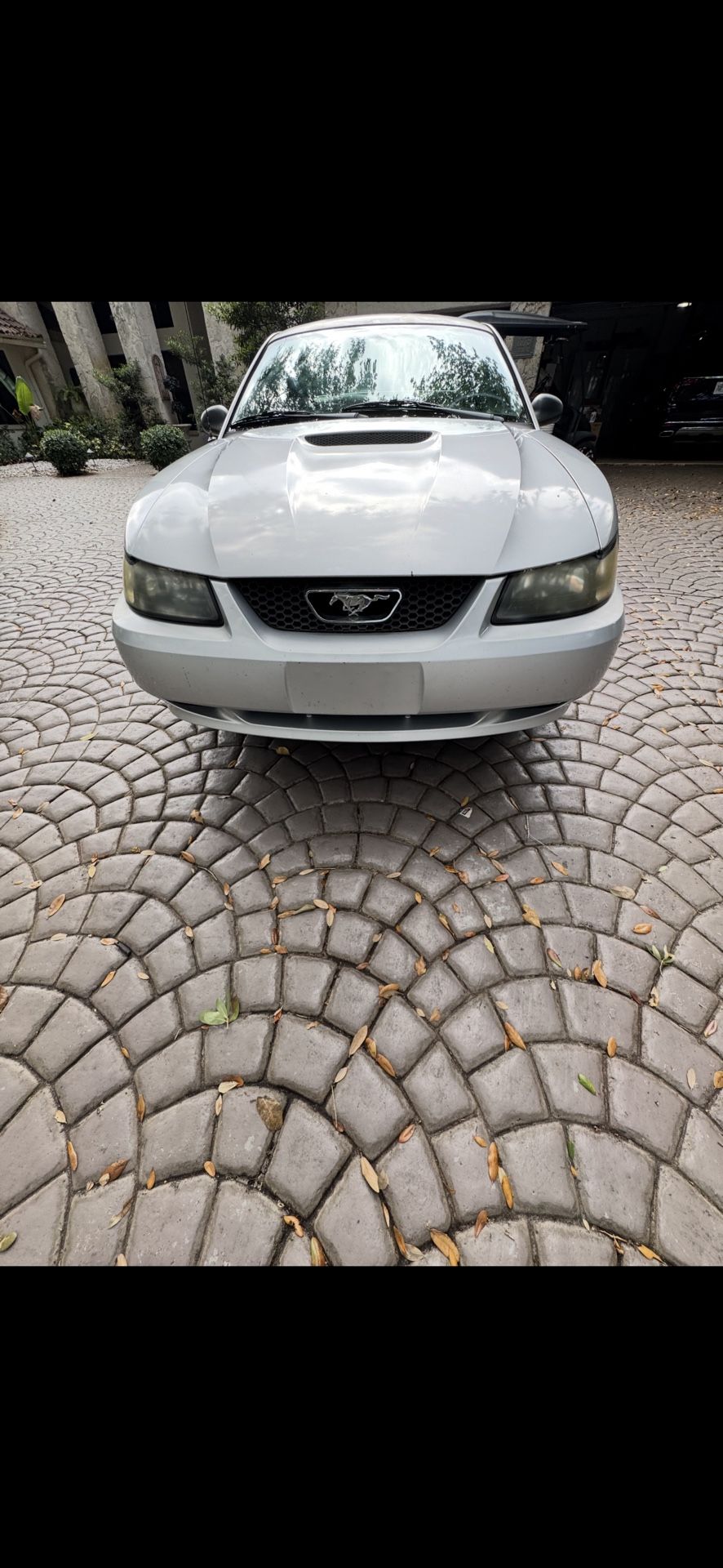 2001 Ford Mustang