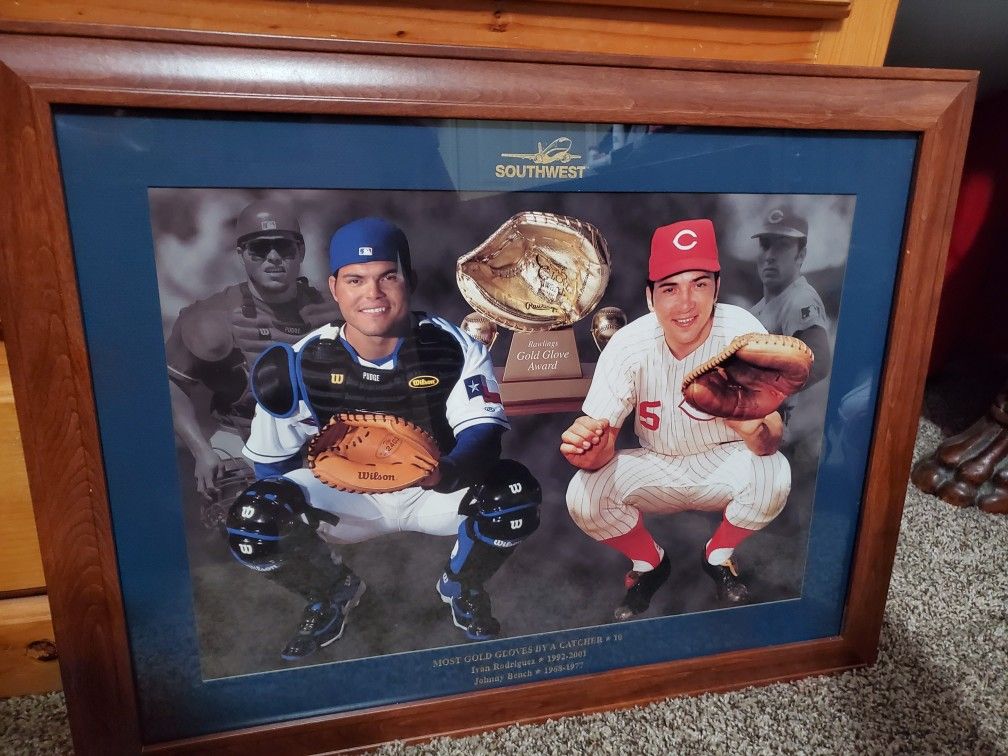 Framed Southwest Gold Gloves Award Poster