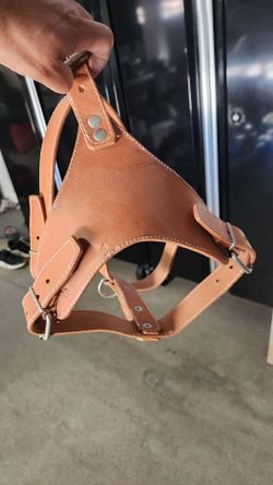 Dog Harness  (Extra Large) Leather