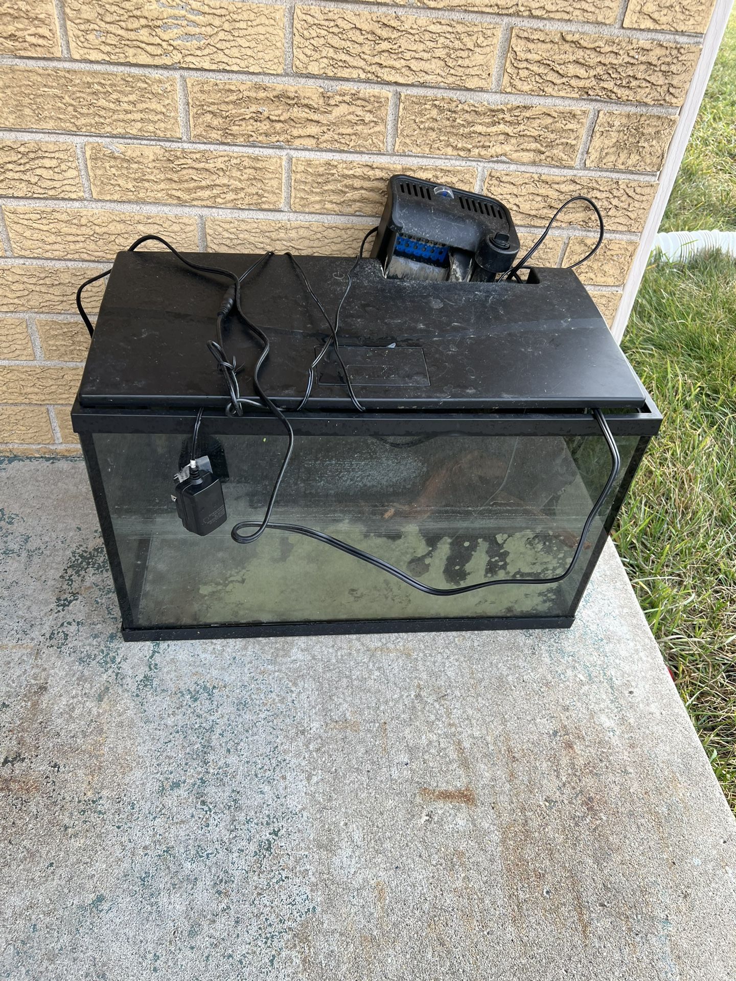 10 Gallon Set Up