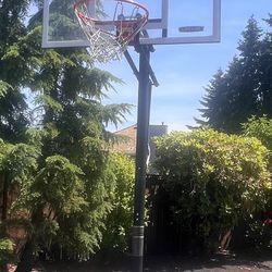 Rolling Basketball Hoop 