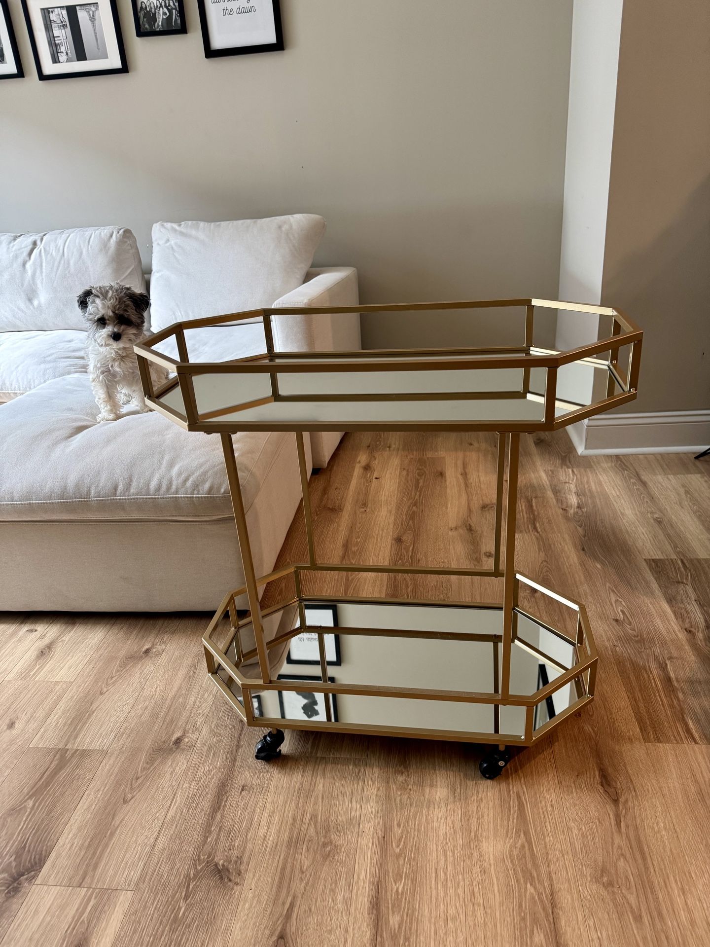 Mirror & Faux Gold/Brass Bar Cart
