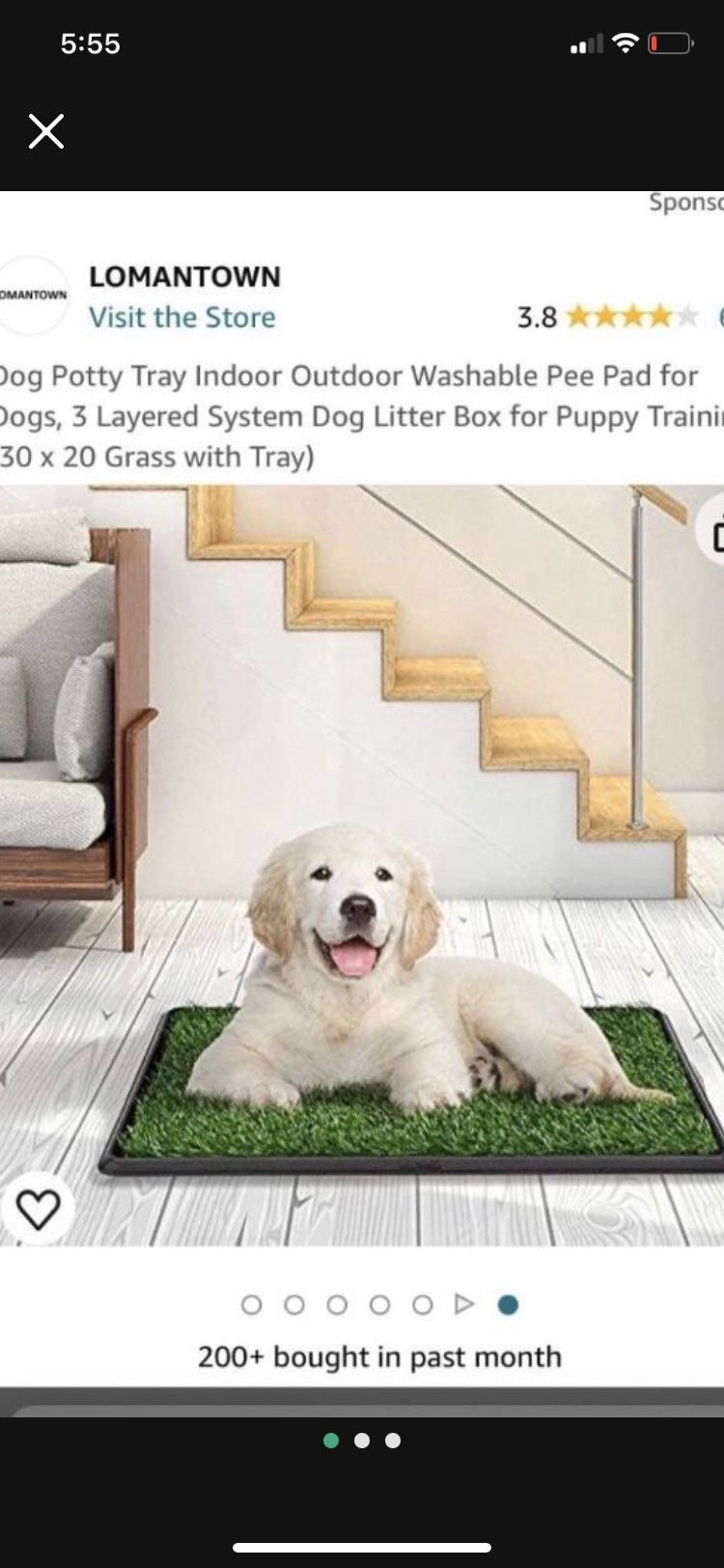 Puppy Potty Tray With Artificial Grass