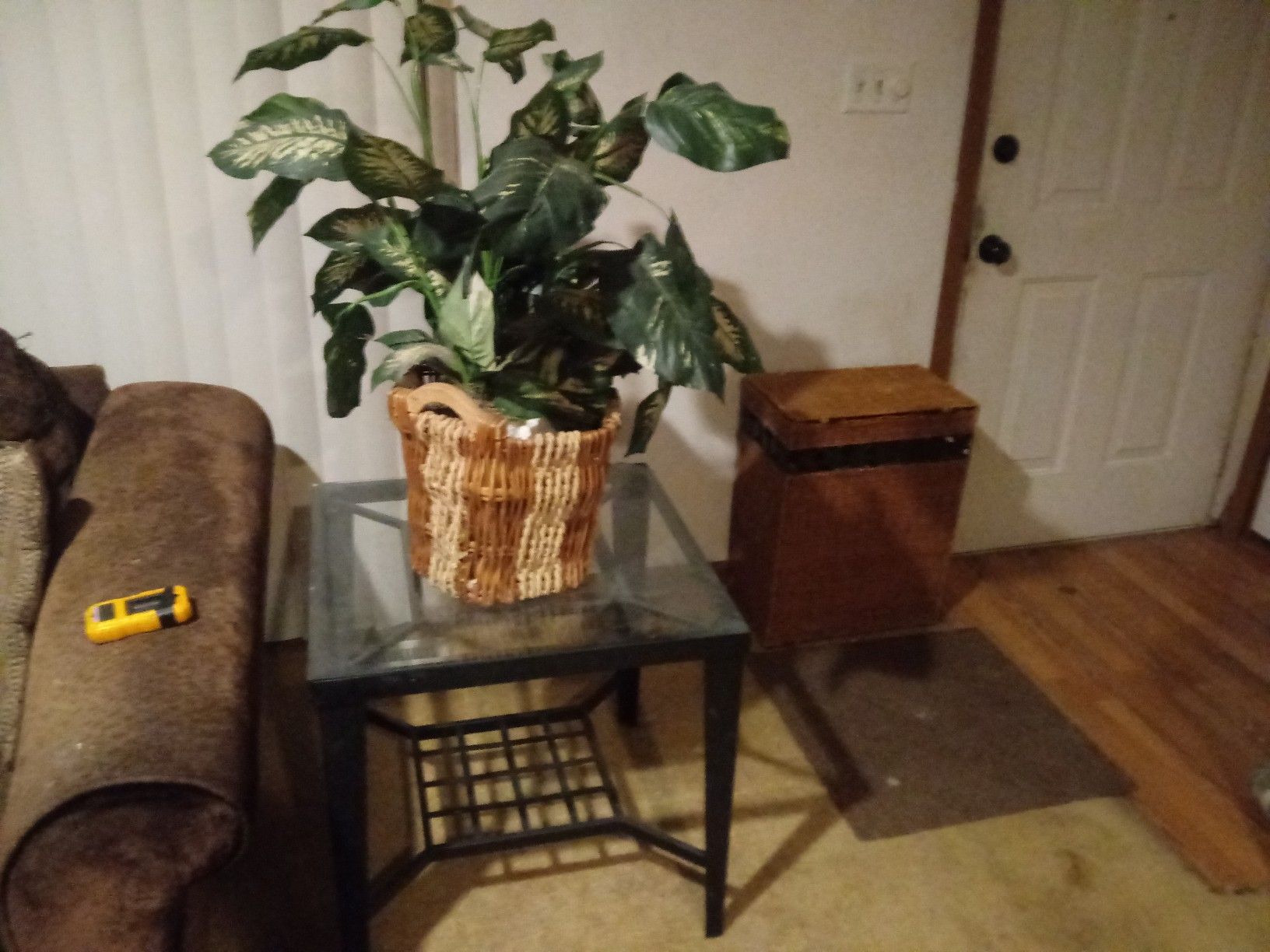 Plant and table