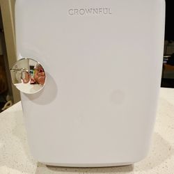 Mini Cosmetic Fridge 