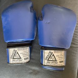 Boxing Gloves 