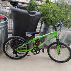 19" Mountain Bike