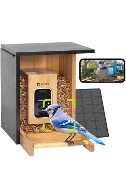 Birds Feeder