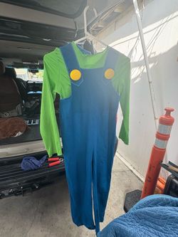 Luigi super Mario costume