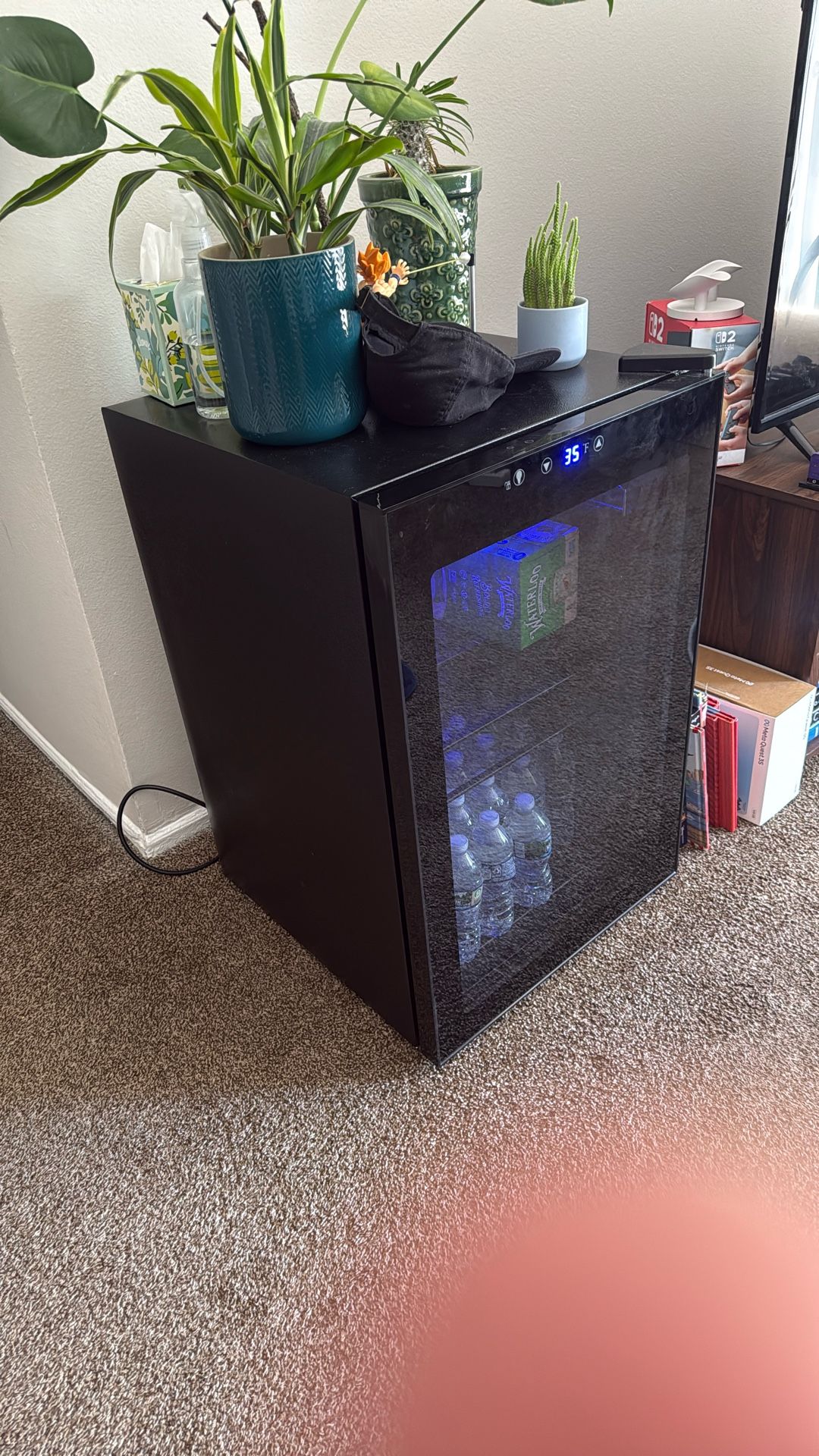 Mini Fridge