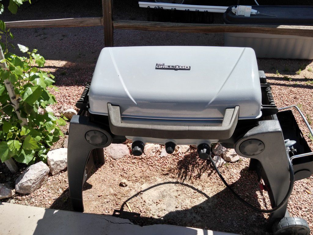 BBQ grill with griddle