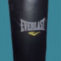 Everlast 100 LB Boxing Bag