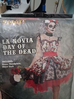 Halloween Costume Xl