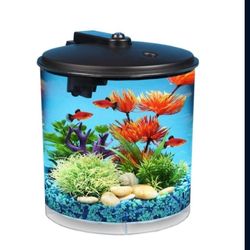 Aquarium 