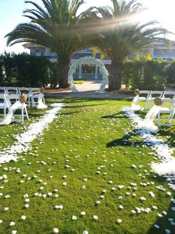 Flower arch!!