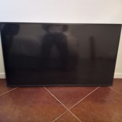 Insignia 55in Amazon Smart Tv