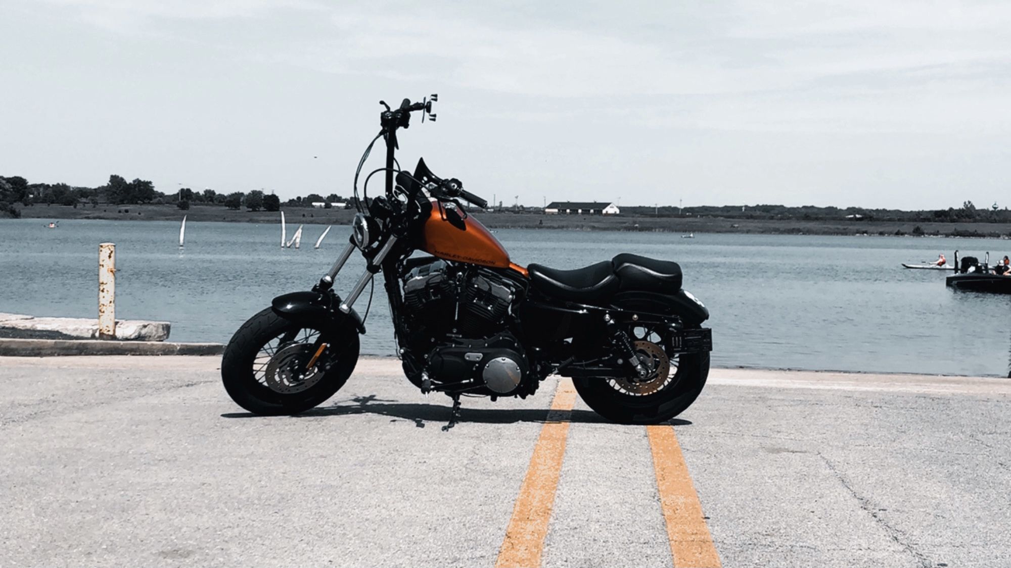 2011 Harley Davidson Forty Eight