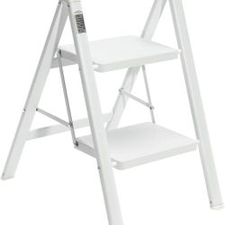 2 Ft Step Ladder