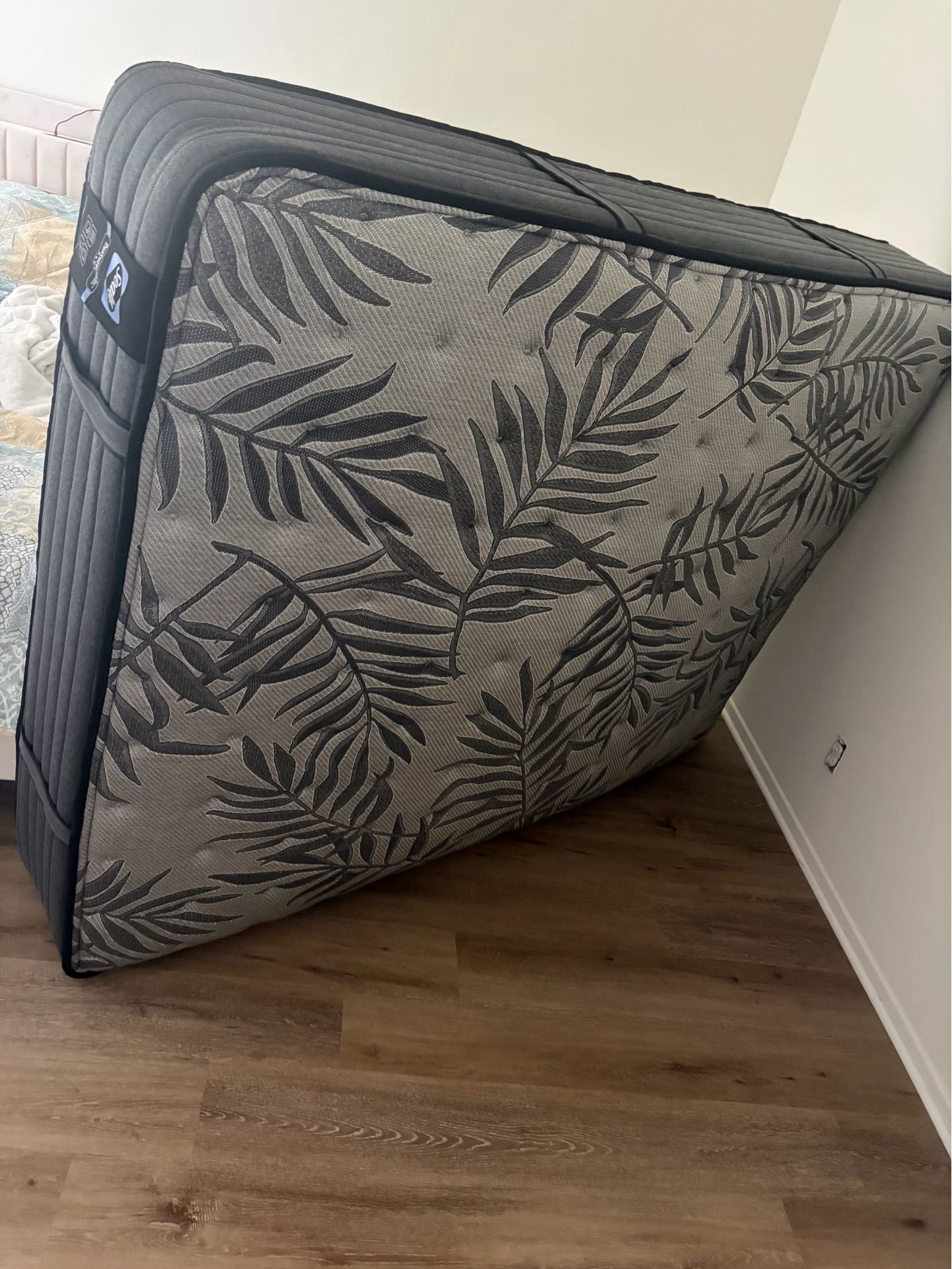 free queen size mattress
