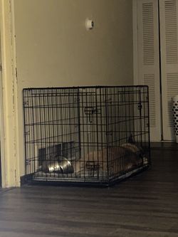 X-L Dog Crate 42”30