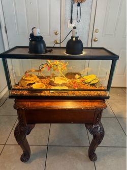 Reptile/Terrarium/ Aquarium 20 Gallons front sliding door tank ( no animals included ) ( have more tanks available)  *** great condition ***