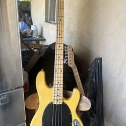 Bass Guitars