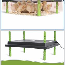Heating plate for Chicks
