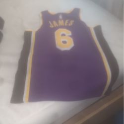 It’s A Top Lakers #6 Lebron James  Brand New 