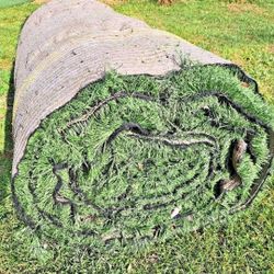 Artificial Grass Used * Menifee CA 💚♻️🏡