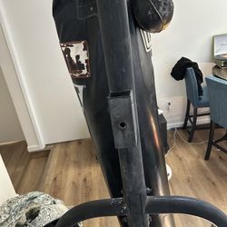 Punching/kicking Bag