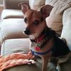 Gina