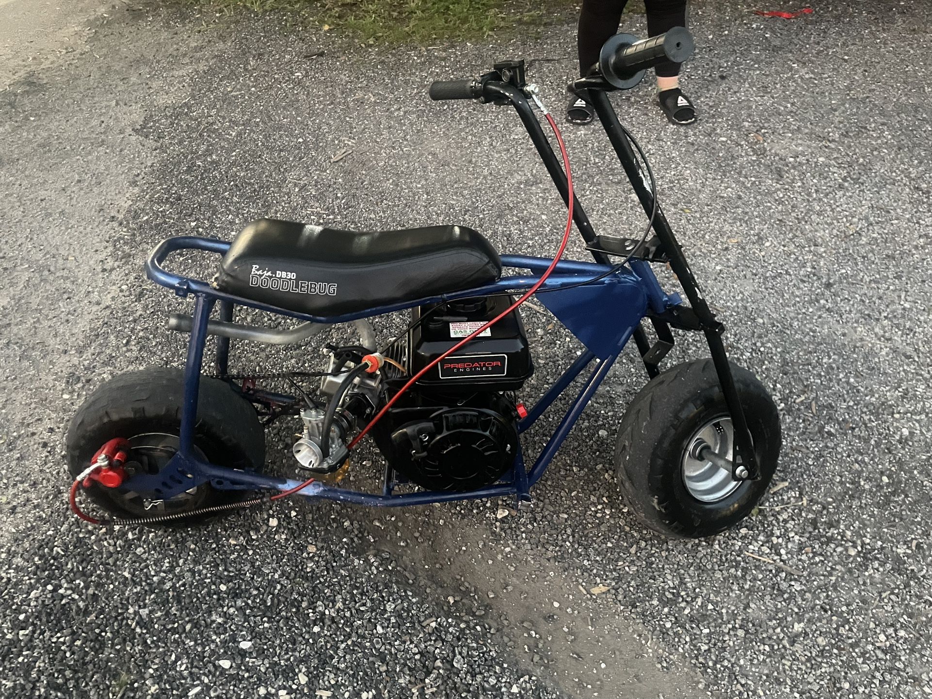 Doodle Bug Stretch Mini 212