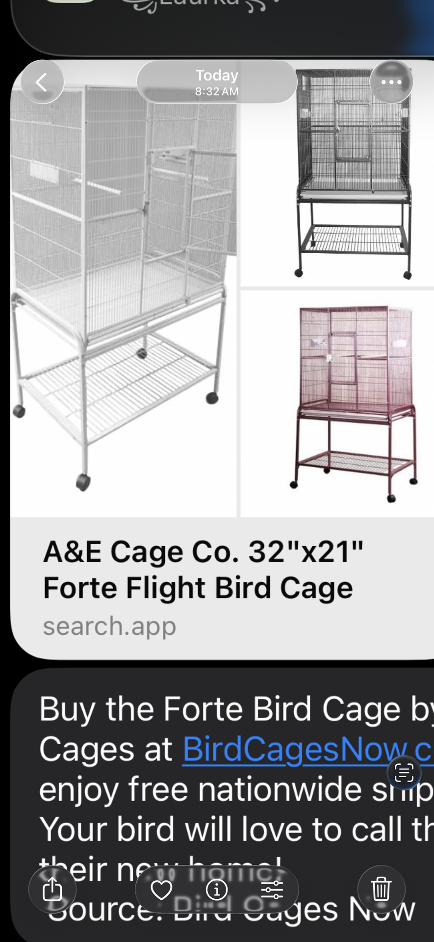 Bird cage -