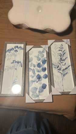 Frames