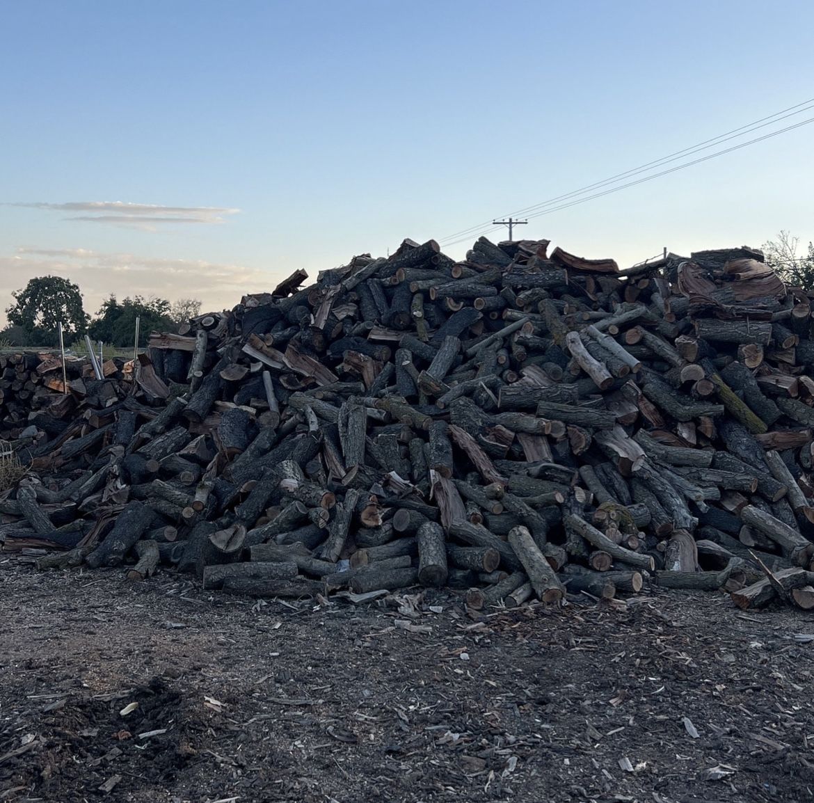 Almond Firewood