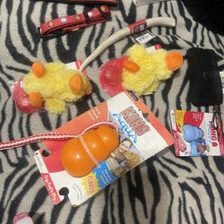 Kong Mini Dog Toys And Other Items Any Item 1.50 Each 2.50