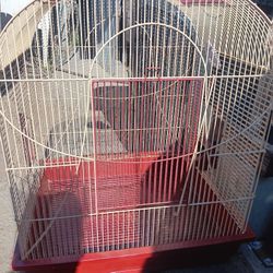 Bird Cage 
