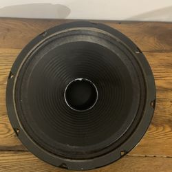 Jensen MOD Guitar Amp Speaker 
