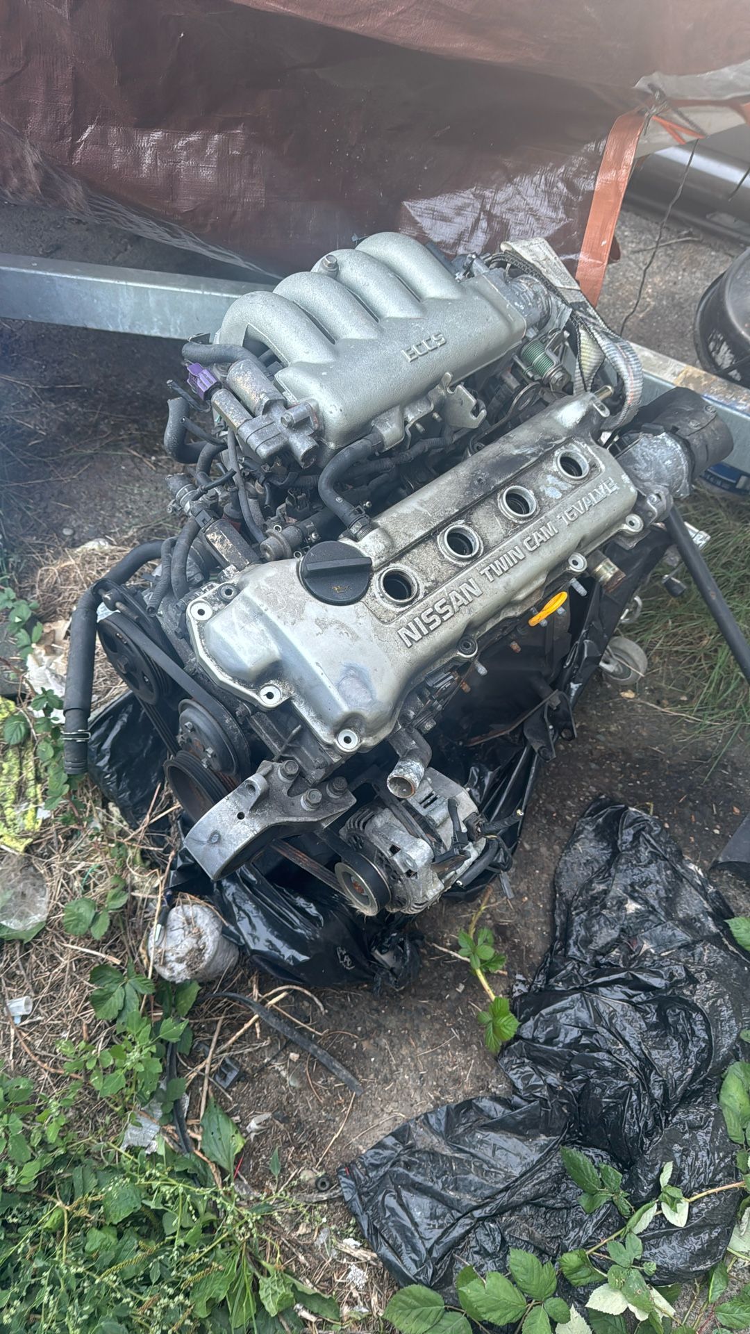 Free Engine