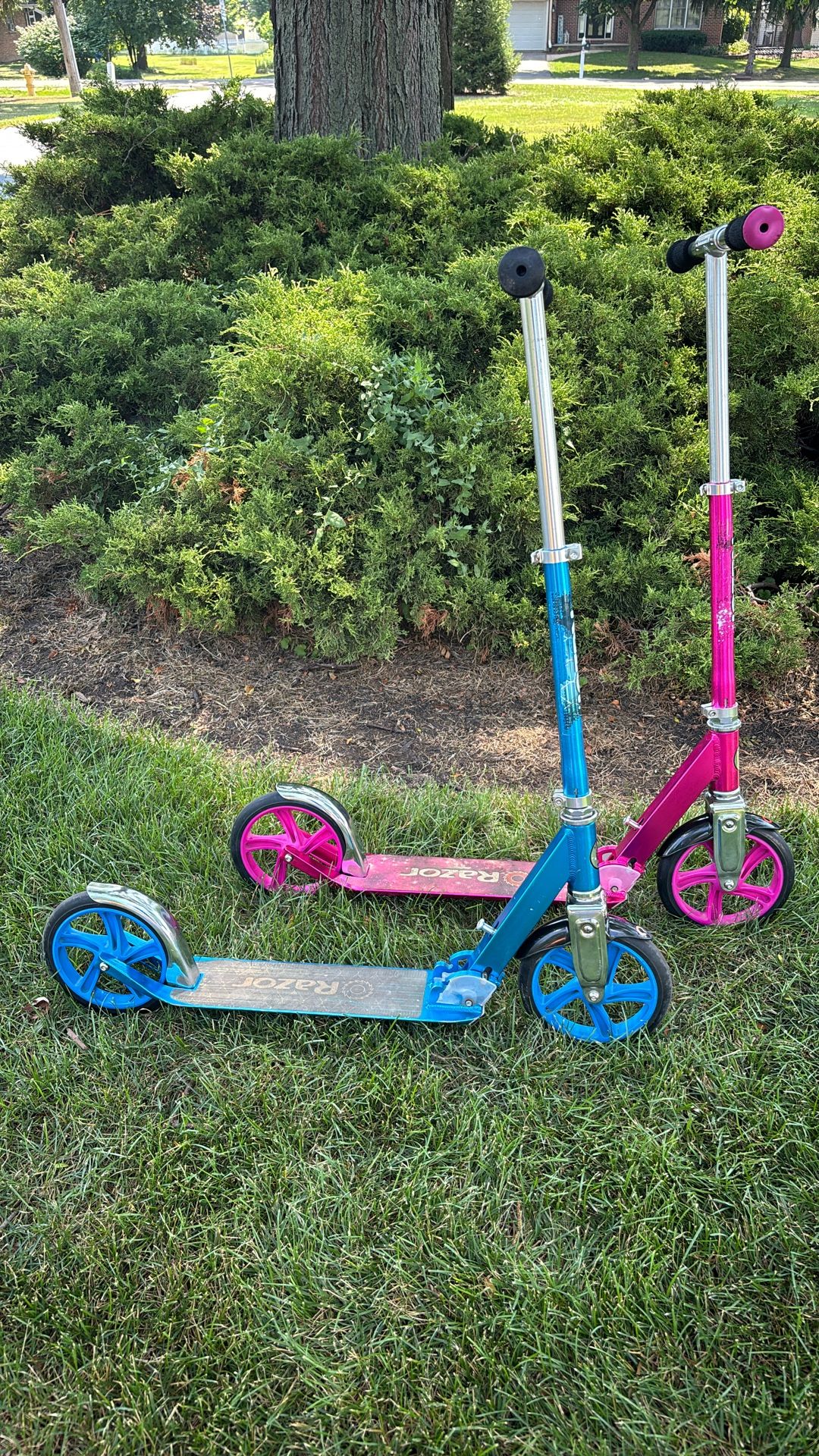 Razor Folding 'Big wheel' Kick Scooters