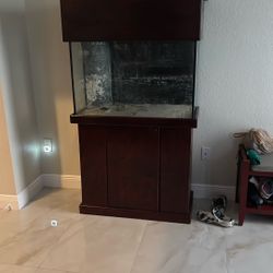 Salt Water Fish Tank
