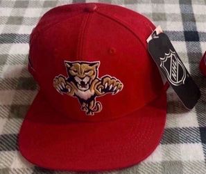 Florida Panthers Hat
