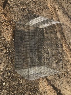 Cage