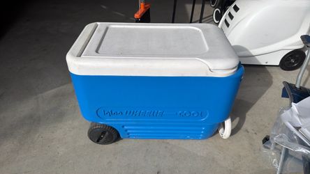 Cooler