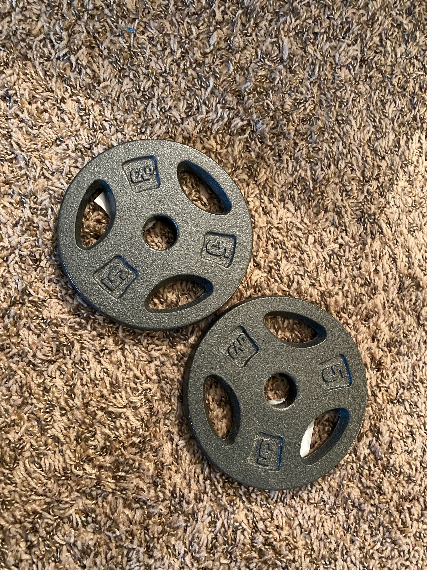 5lb plates weights