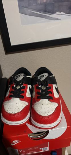 6c nike dunk