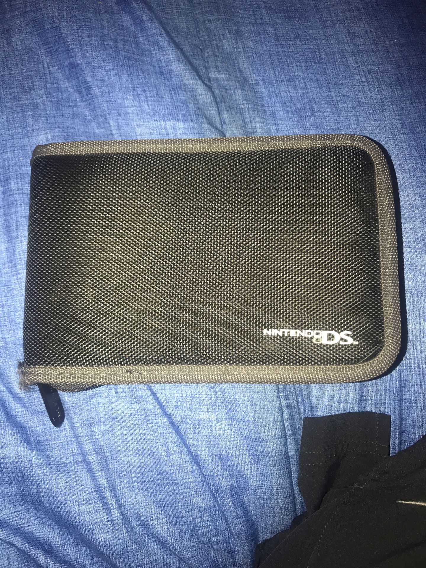 Nintendo DS case