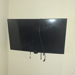 40" Insignia TV
